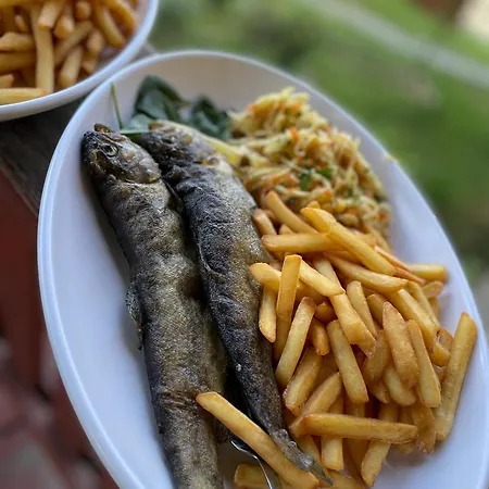 招待所 